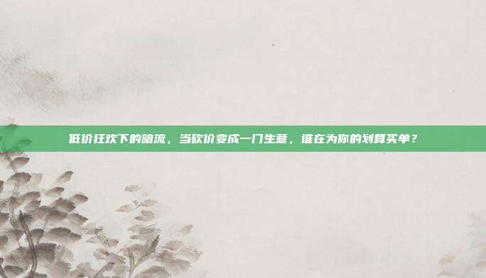 低价狂欢下的暗流，当砍价变成一门生意，谁在为你的划算买单？