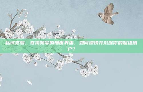 私域觉醒,在视频号的慢世界里,如何捕捞并沉淀你的超级用户?