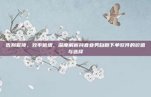 告别繁琐，效率倍增，深度解析抖音业务自助下单软件的价值与选择