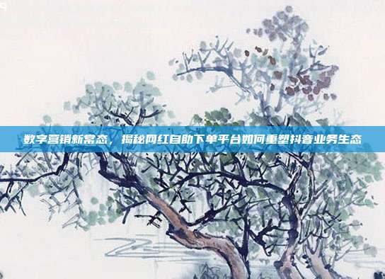 数字营销新常态，揭秘网红自助下单平台如何重塑抖音业务生态