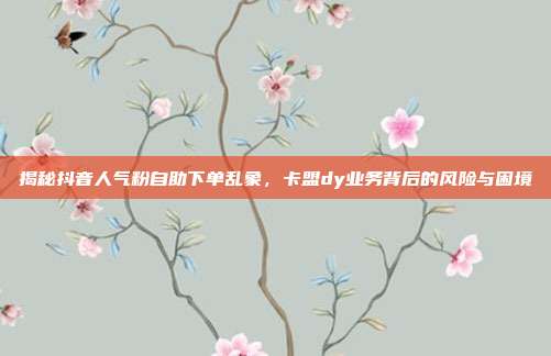 揭秘抖音人气粉自助下单乱象，卡盟dy业务背后的风险与困境