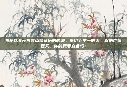 揭秘0.5元抖音点赞背后的陷阱，低价下单一时爽，取消难如登天，你的账号安全吗？