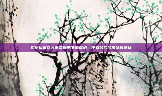 揭秘抖音私人老号自助下单真相，便宜背后的风险与隐忧