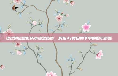 短视频运营低成本增效指南，解析dy赞自助下单的避坑策略