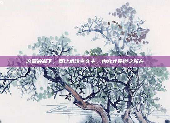 流量浪潮下，莫让术喧宾夺主，内容才是道之所在