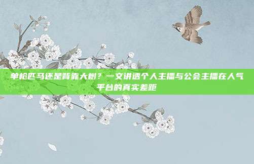 单枪匹马还是背靠大树?一文讲透个人主播与公会主播在人气平台的真实差距