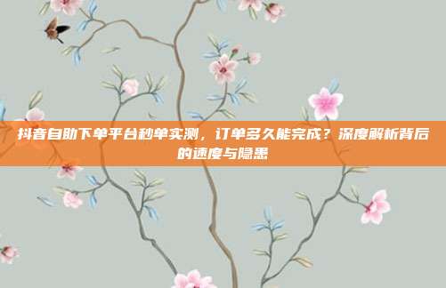 抖音自助下单平台秒单实测，订单多久能完成？深度解析背后的速度与隐患