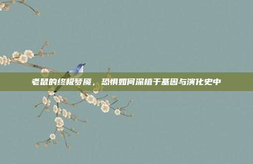 老鼠的终极梦魇，恐惧如何深植于基因与演化史中