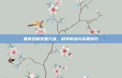 最有效的灭鼠方法，科学防治与实用技巧