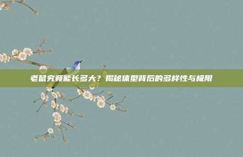 老鼠究竟能长多大？揭秘体型背后的多样性与极限