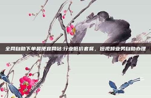 全网自助下单最便宜网站:行业低价套餐，短视频业务自助办理