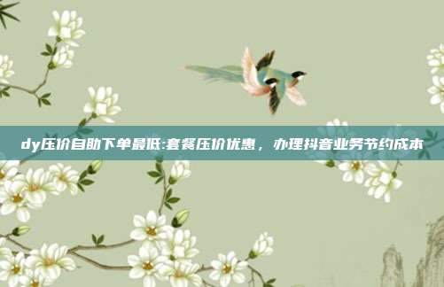 dy压价自助下单最低:套餐压价优惠，办理抖音业务节约成本