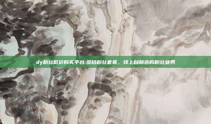dy粉丝低价购买平台:多档粉丝套餐，线上自助选购粉丝业务