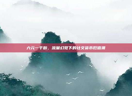 六元一千粉，流量幻觉下的社交货币贬值潮
