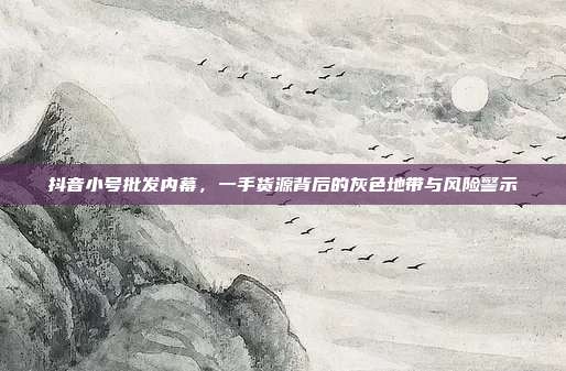 抖音小号批发内幕，一手货源背后的灰色地带与风险警示