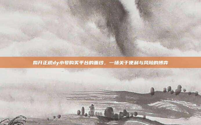 揭开正规dy小号购买平台的面纱，一场关于便利与风险的博弈