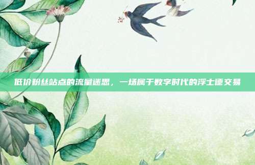 低价粉丝站点的流量迷思，一场属于数字时代的浮士德交易