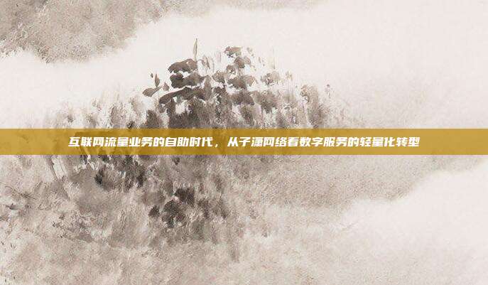 互联网流量业务的自助时代，从子潇网络看数字服务的轻量化转型