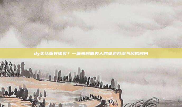 dy买活粉在哪买？一篇来自圈内人的渠道咨询与风险自白