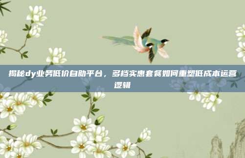 揭秘dy业务低价自助平台，多档实惠套餐如何重塑低成本运营逻辑