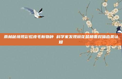 雨林秘境现彩虹皮毛新物种 科学家发现镜花鼠颠覆对啮齿类认知