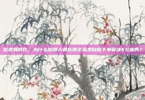 短视频时代，为什么聪明人都在用全品类自助下单解决KS业务？
