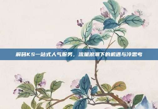 解码KS一站式人气服务，流量浪潮下的机遇与冷思考