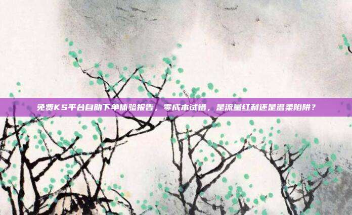 免费KS平台自助下单体验报告，零成本试错，是流量红利还是温柔陷阱？