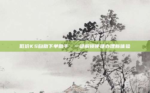低价KS自助下单助手，一键解锁便捷办理新体验