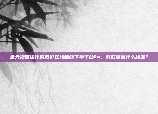 全天稳定运行的低价在线自助下单平台ks，到底藏着什么秘密？