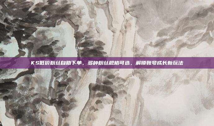 KS低价粉丝自助下单，多种粉丝规格可选，解锁账号成长新玩法