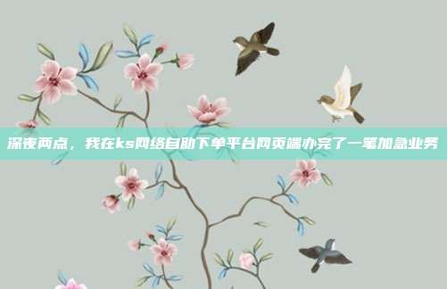 深夜两点，我在ks网络自助下单平台网页端办完了一笔加急业务