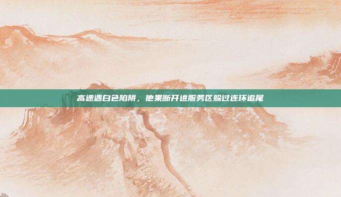 高速遇白色陷阱，他果断开进服务区躲过连环追尾