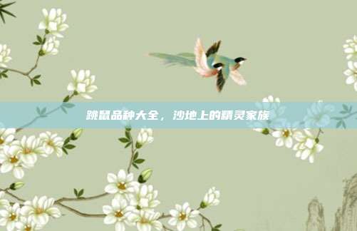 跳鼠品种大全，沙地上的精灵家族