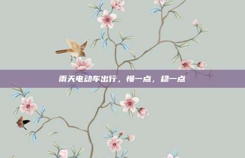 雨天电动车出行，慢一点，稳一点