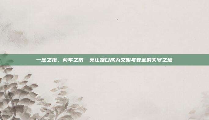 一念之抢，两车之伤—莫让路口成为文明与安全的失守之地