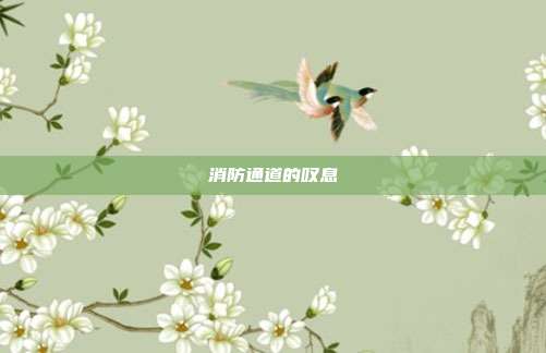 消防通道的叹息