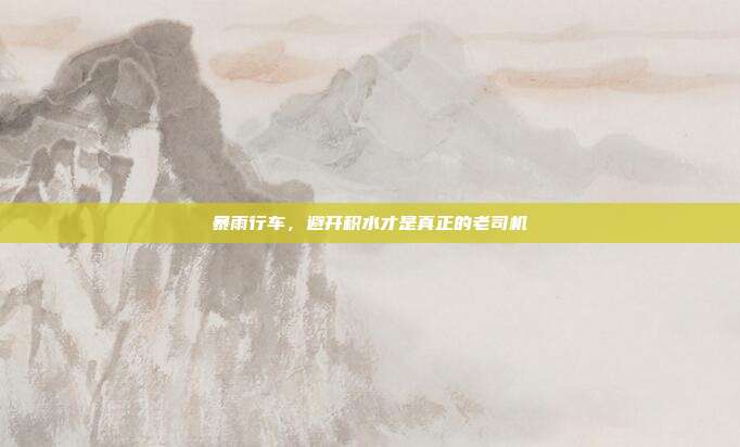 暴雨行车，避开积水才是真正的老司机