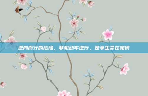 逆向而行的危险，非机动车逆行，是拿生命在赌博