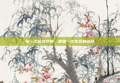每一次远光切换，都是一次生命的选择
