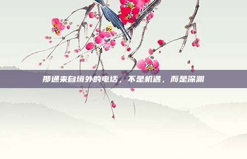 那通来自境外的电话，不是机遇，而是深渊