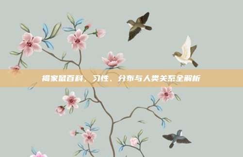 褐家鼠百科，习性、分布与人类关系全解析