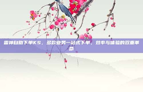 雷神自助下单KS，多款业务一站式下单，效率与体验的双重革命