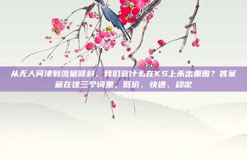 从无人问津到流量倾斜，我们靠什么在KS上杀出重围？答案藏在这三个词里，低价、快速、稳定