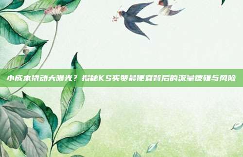 小成本撬动大曝光？揭秘KS买赞最便宜背后的流量逻辑与风险