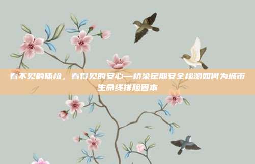 看不见的体检，看得见的安心—桥梁定期安全检测如何为城市生命线排险固本