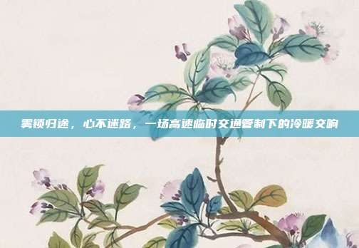 雾锁归途，心不迷路，一场高速临时交通管制下的冷暖交响