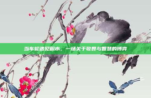 当车轮遇见积水，一场关于敬畏与智慧的博弈