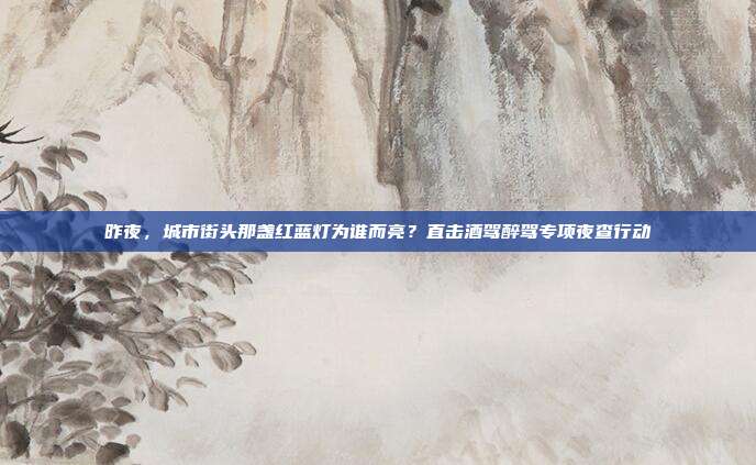 昨夜，城市街头那盏红蓝灯为谁而亮？直击酒驾醉驾专项夜查行动