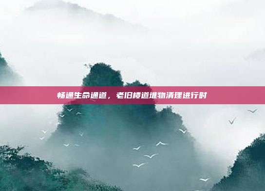 畅通生命通道，老旧楼道堆物清理进行时